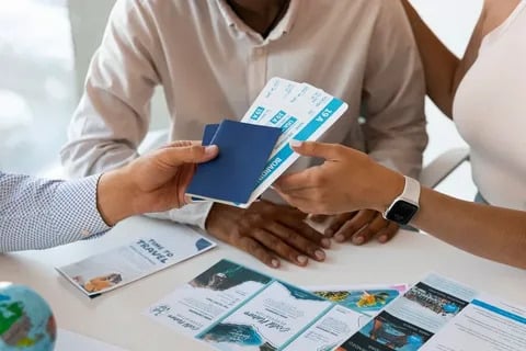 visa agent